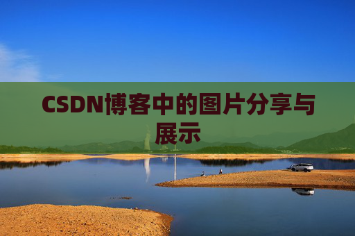 CSDN博客中的图片分享与展示